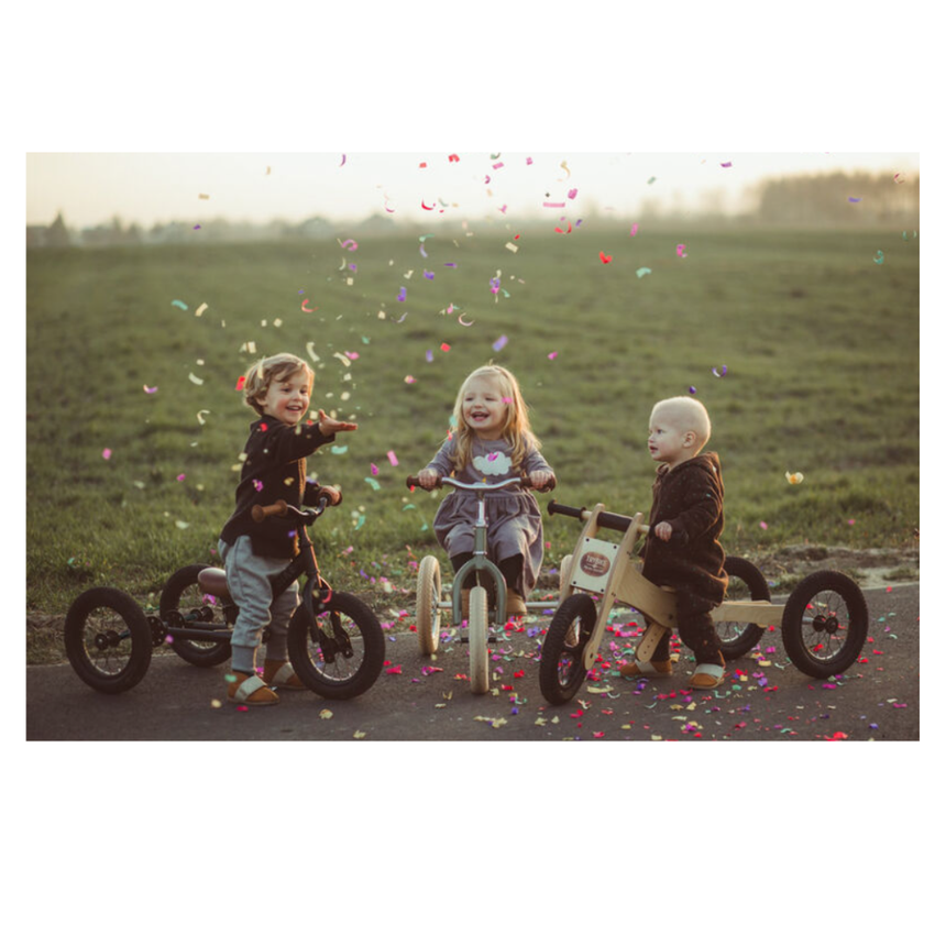 Trybike 2 in 1 Steel Balance Bike & Tricycle – Vintage Black