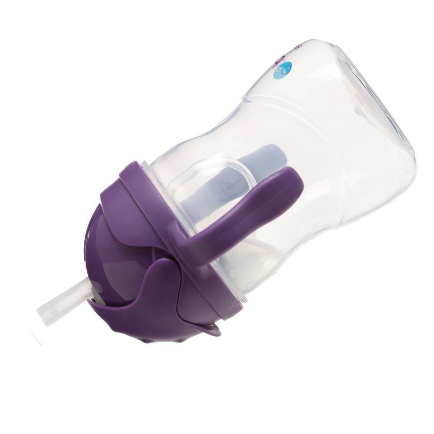 B.Box Sippy Cup - Grape