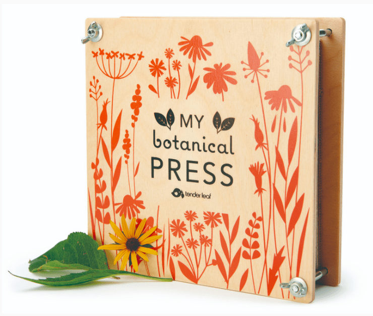 Tender Leaf Toys Wooden Flower Press Craft Kit