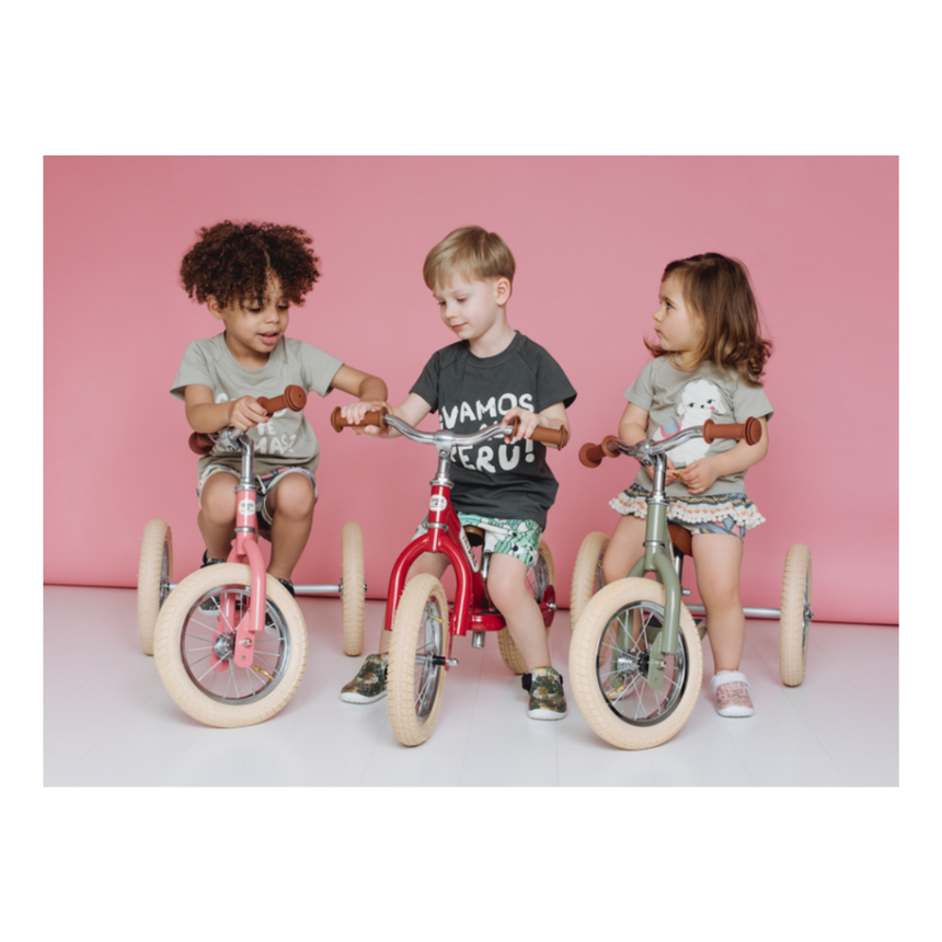 Trybike 2 in 1 Steel Balance Bike & Tricycle – Vintage Green
