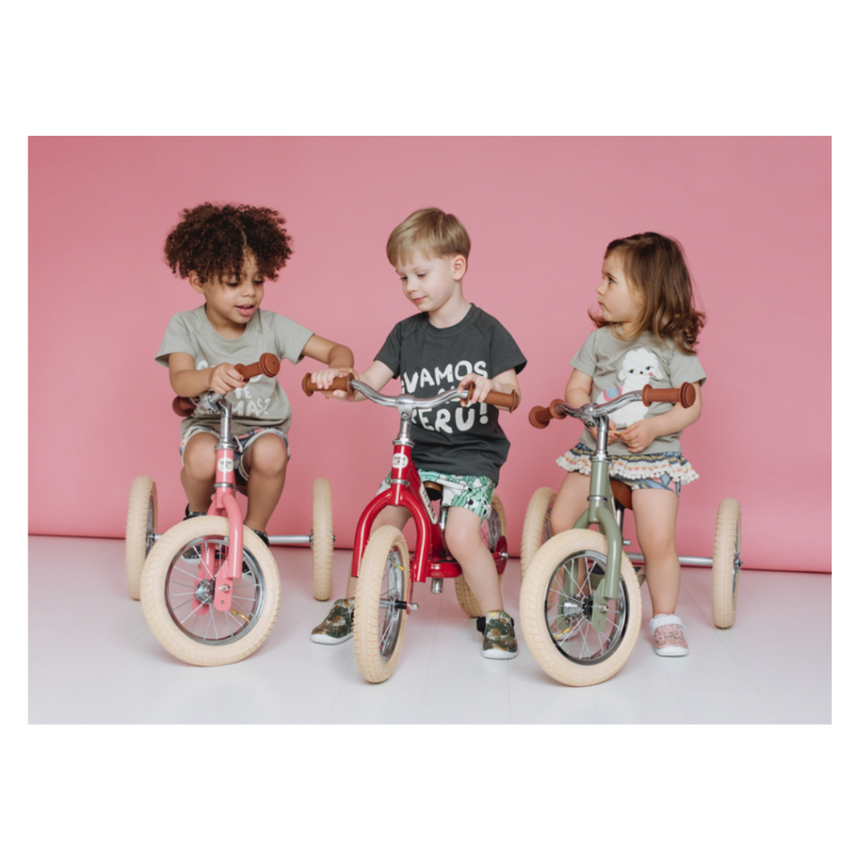 Trybike 2 in 1 Steel Balance Bike & Tricycle – Vintage Pink