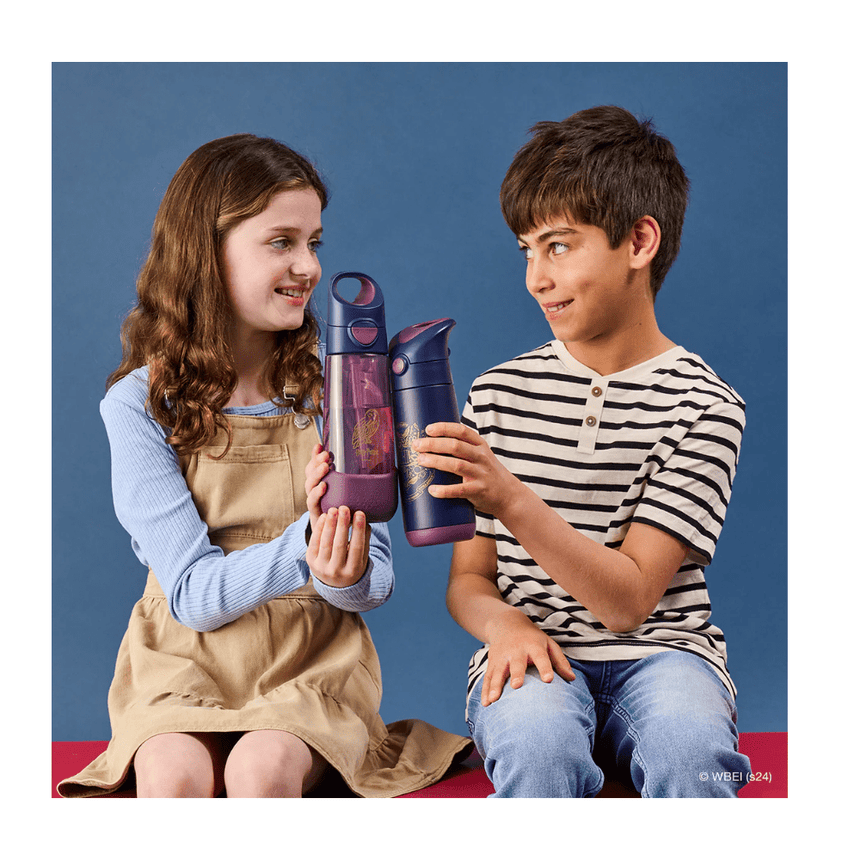 B.Box 500mL Licensed Insulated Drink Bottle - Harry Potter