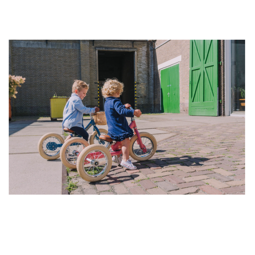 Trybike 2 in 1 Steel Balance Bike & Tricycle – Vintage Blue