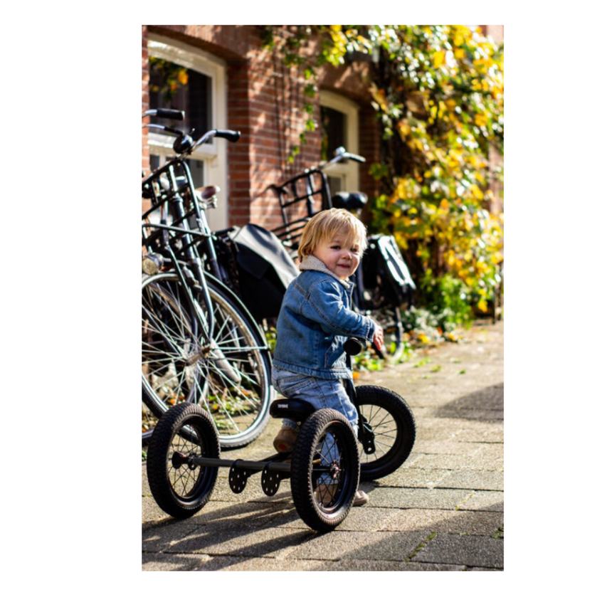 Trybike 2 in 1 Steel Balance Bike & Tricycle – Vintage Black