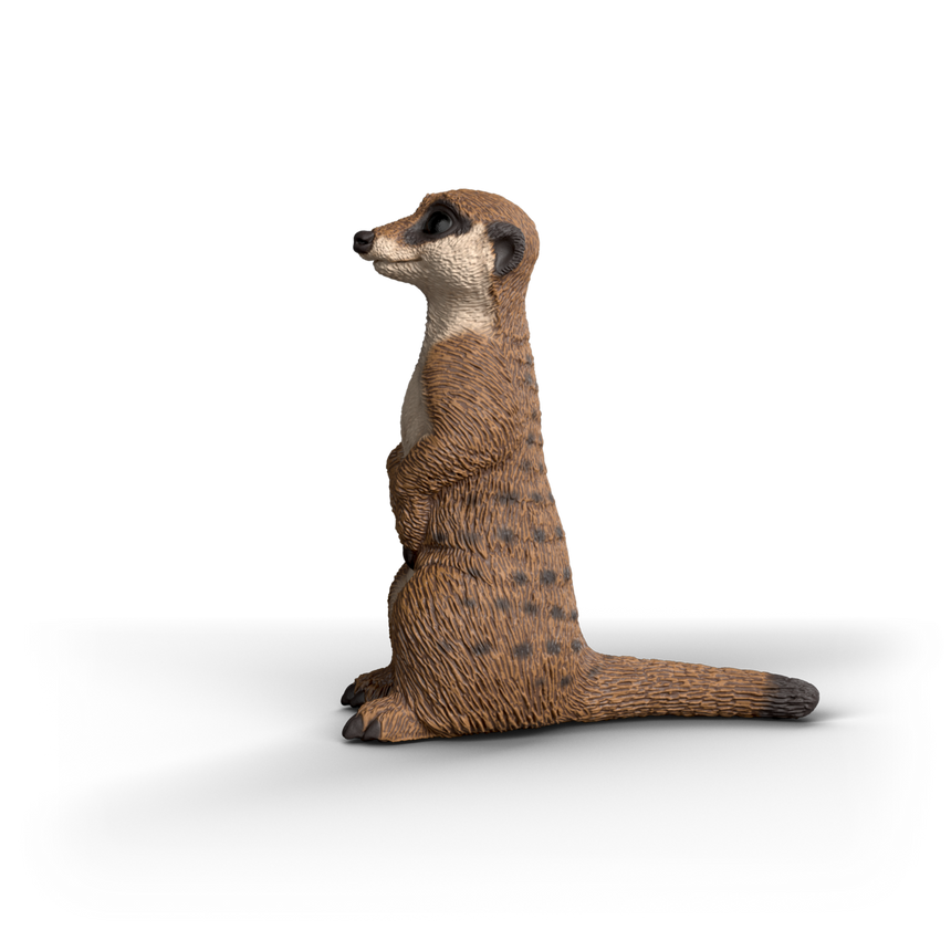 Schleich Meerkat toy figure side view