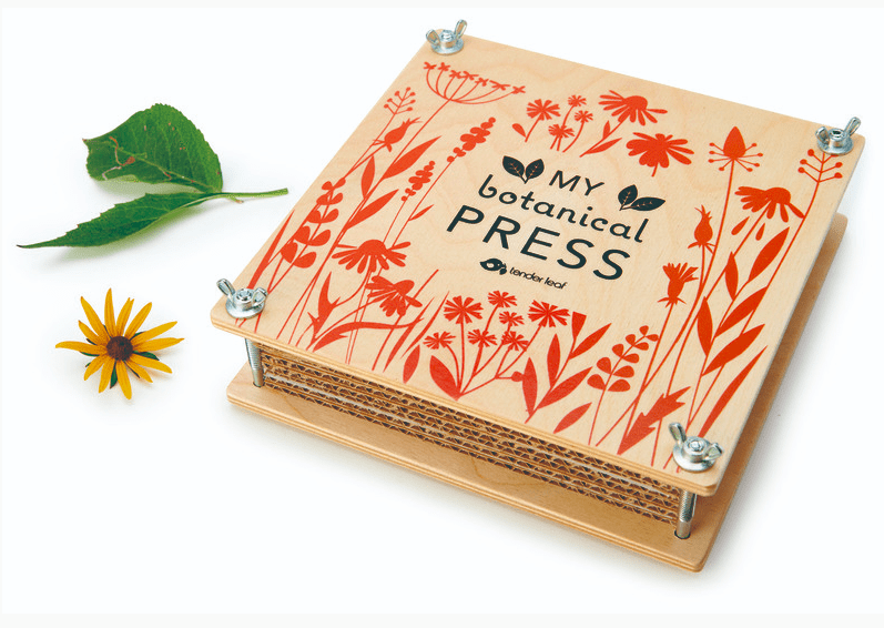 Tender Leaf Toys Wooden Flower Press Craft Kit
