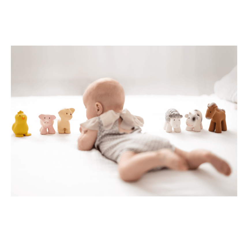 Tikiri Set of 6 Tikiri Farm Rubber Rattle & Bath Toys
