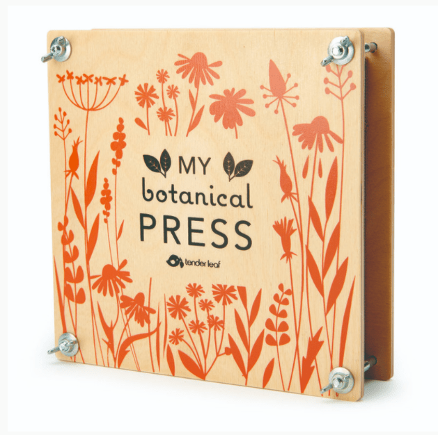 Tender Leaf Toys Wooden Flower Press Craft Kit