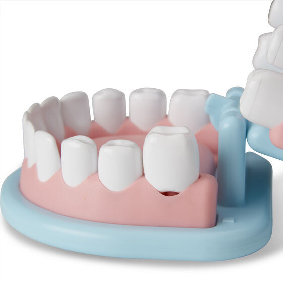 Melissa and Doug Super Smile Dentist Play Set pretend dentist kit – view 5