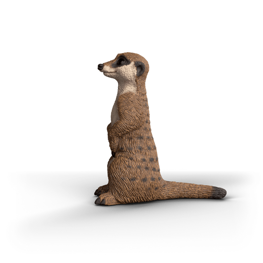 Schleich Meerkat toy figure side view