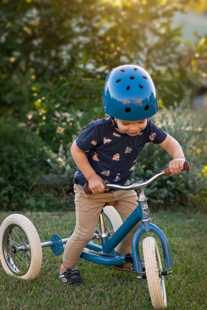 Vintage Blue Trybike front view
