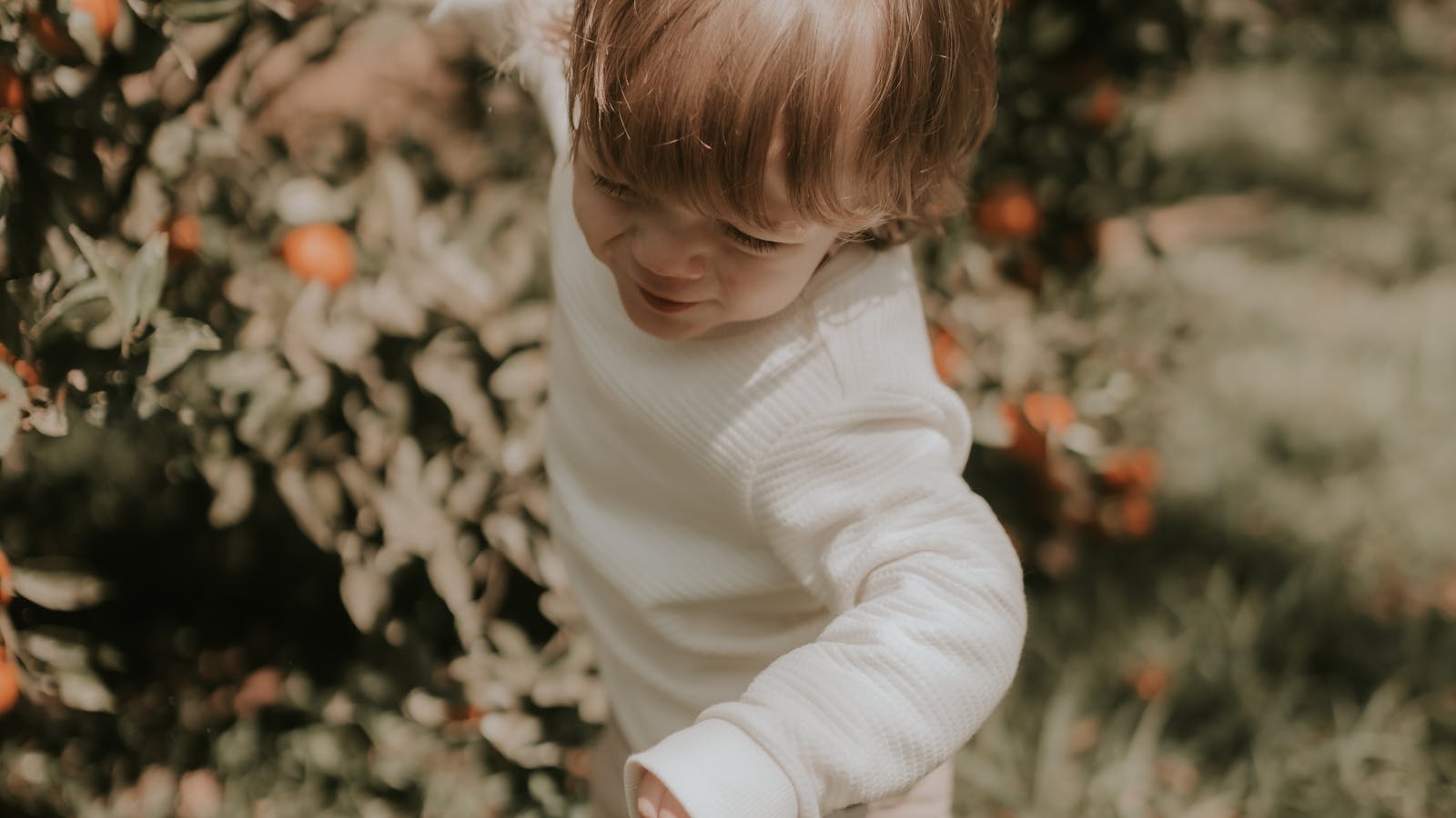 Toddler enjoying outdoor play, choosing between a push car and electric ride-on
