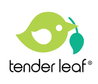 Tender Leaf Toys
