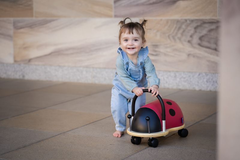 Wheely Bug Kids Ride On Ladybug Large