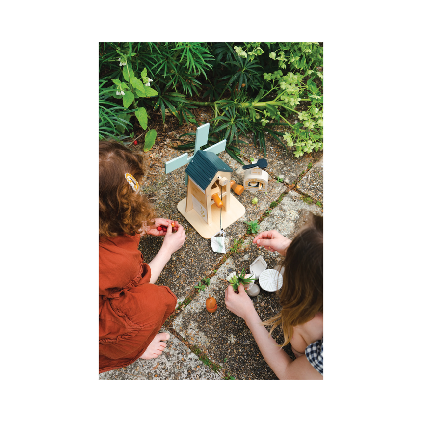 Tender Leaf Toys Wooden Penny Windmill Set