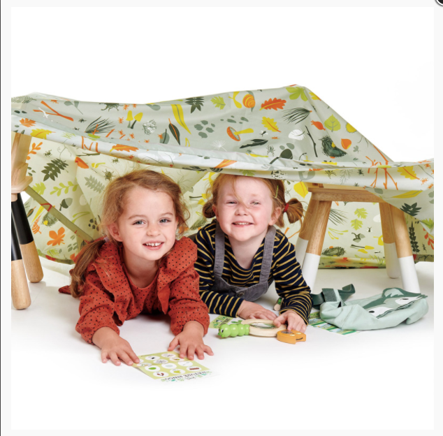 Tender Leaf Toys Forest Trail Kit