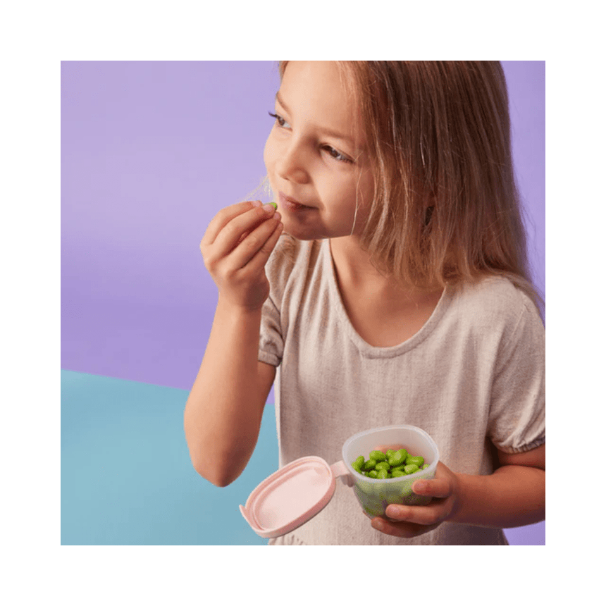 B.Box Snack Tubs 3pk - Berry