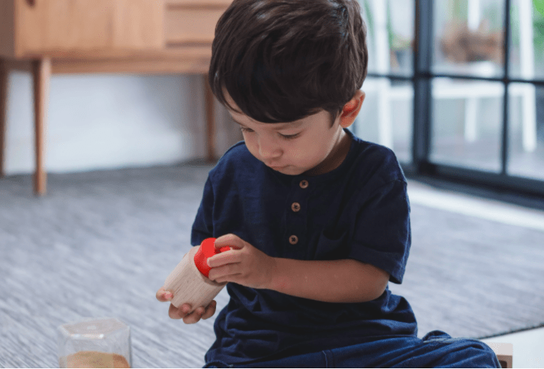 PlanToys Geo Matching Boxes