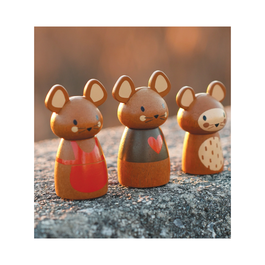 Tender Leaf Toys Wooden Penny Windmill Set