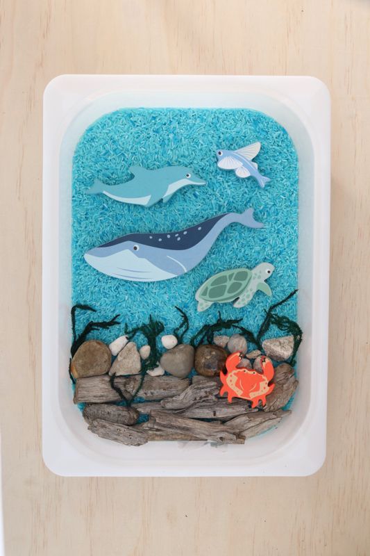 Tender Leaf Toys Wooden Coastal Display Shelf Set