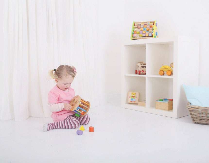Bigjigs Toys First Rolling Shape Sorter