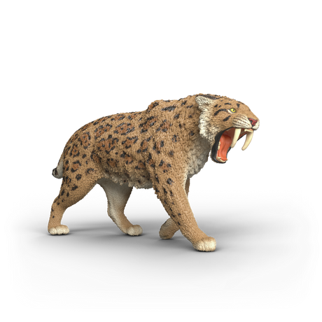 Schleich Smilodon toy figure - front product image