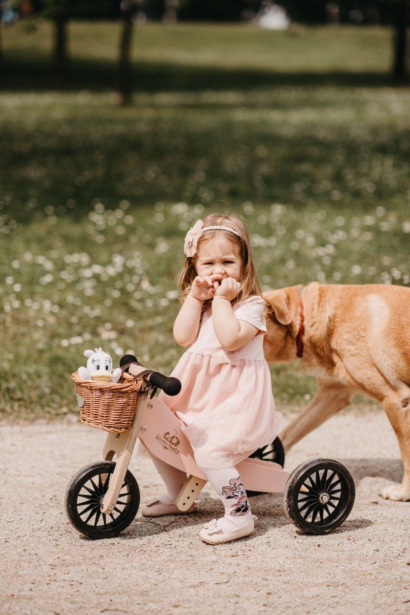 Kinderfeets Tiny Tot Plus 2-in-1 Trike Balance Bike - Rose