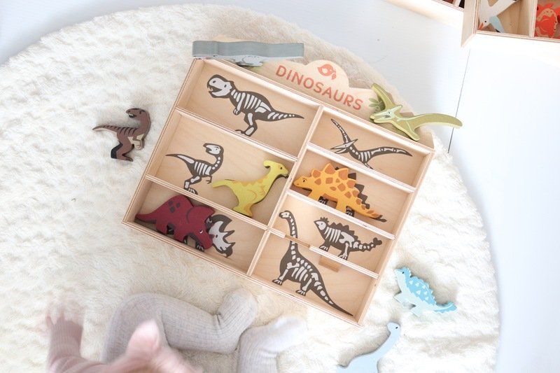 Tender Leaf Toys Wooden Dinosaur Display Shelf Set