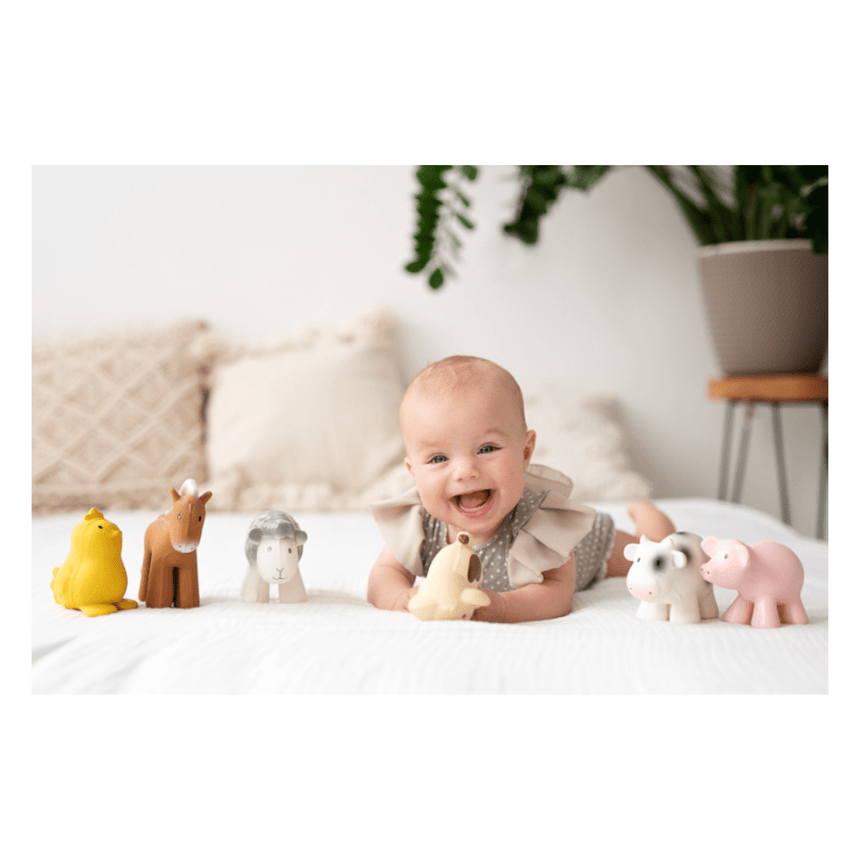 Tikiri Set of 6 Tikiri Farm Rubber Rattle & Bath Toys