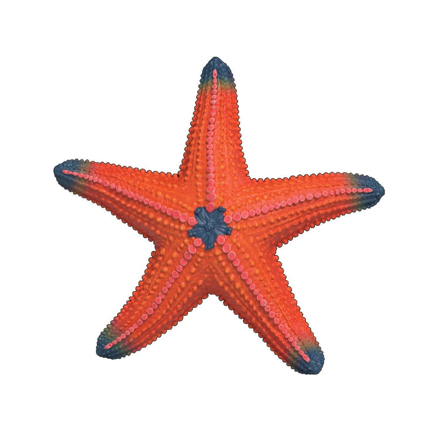 Schleich Starfish Colour Change