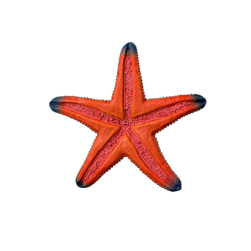 Schleich Starfish Colour Change