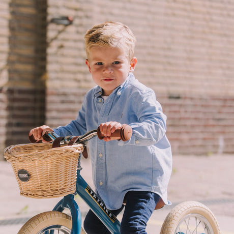 Vintage Blue Trybike quick conversion kit