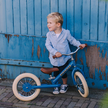 Vintage Blue Trybike full set contents