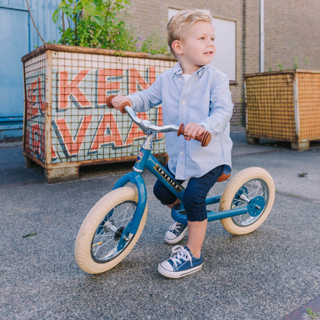 Vintage Blue Trybike dimensions and specifications