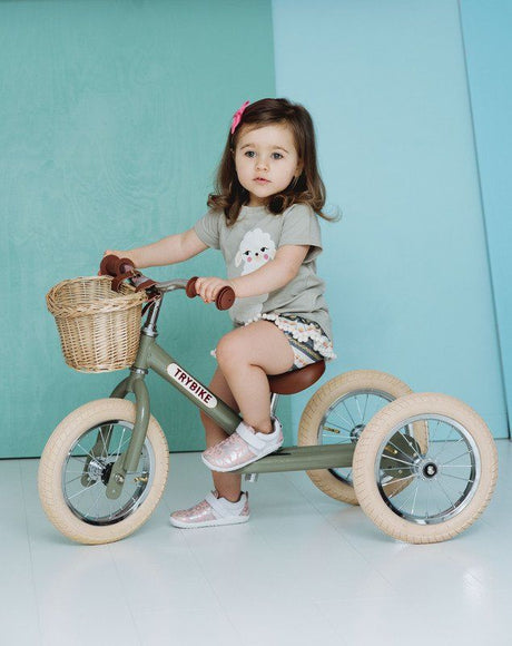 Vintage Green Trybike full set contents